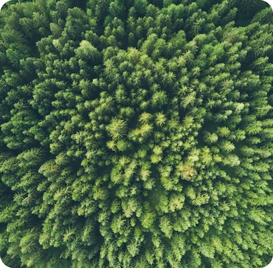 our-bit-for-the-environment-2