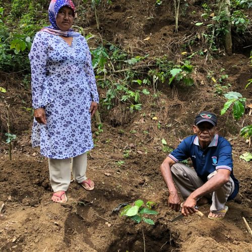 Suraya Abadi Coop - Kayumas East Java (39)